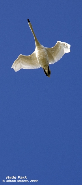 090404-5931-q